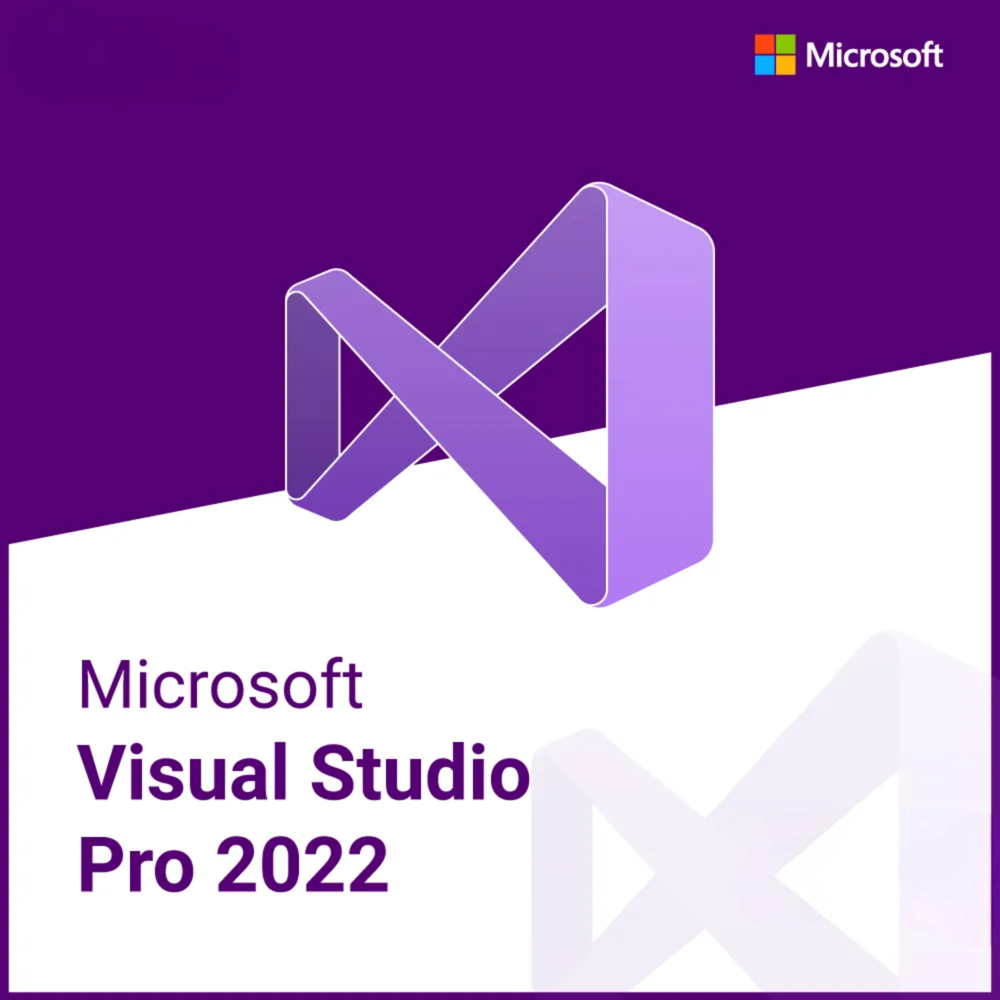 Visual Studio Professional 2022